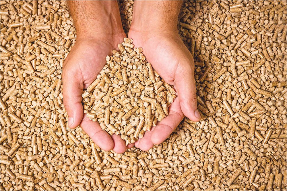 granules de bois 1