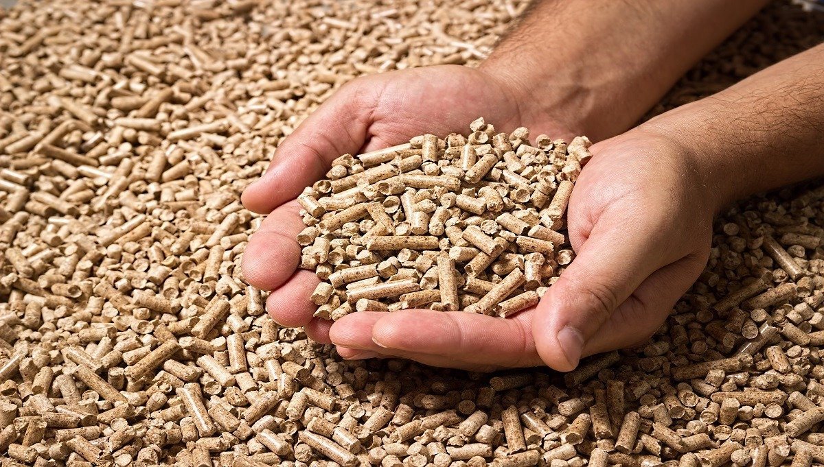 Granulés de bois : Ce qu'il faut savoir 1 https://uabboisdechauffage.store/